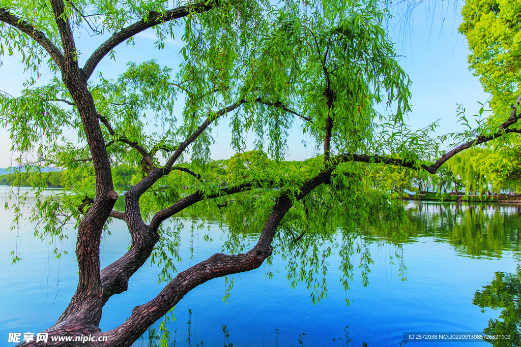 杭州西湖風景