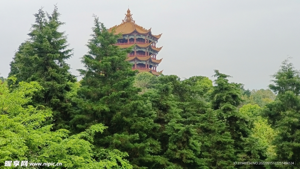 富樂閣