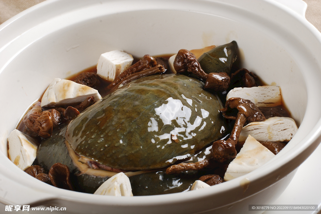 松茸燜甲魚