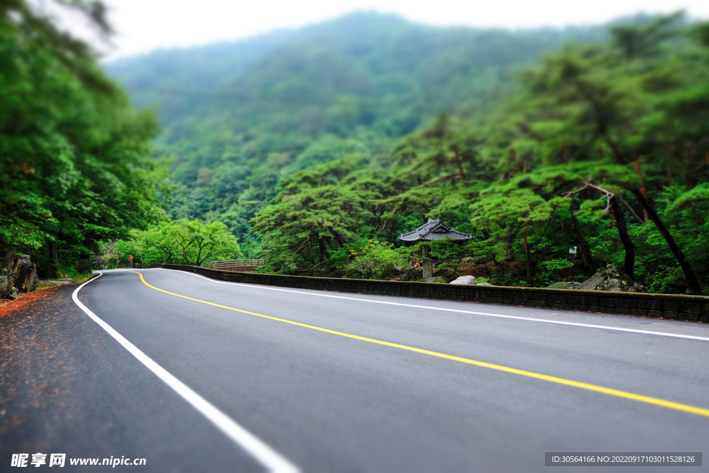高速道路