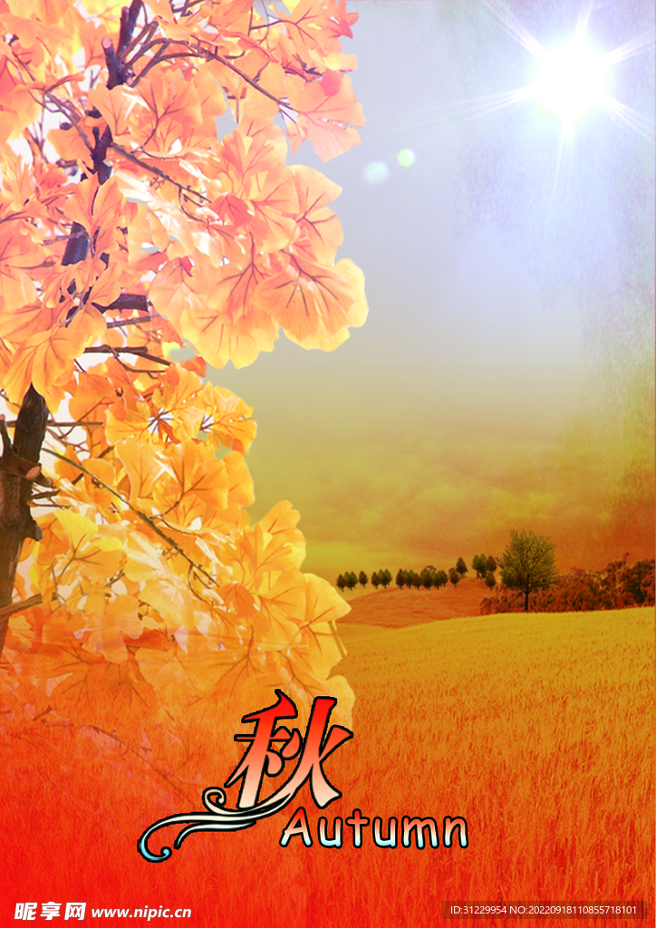 秋天的麥田