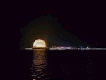 夜景