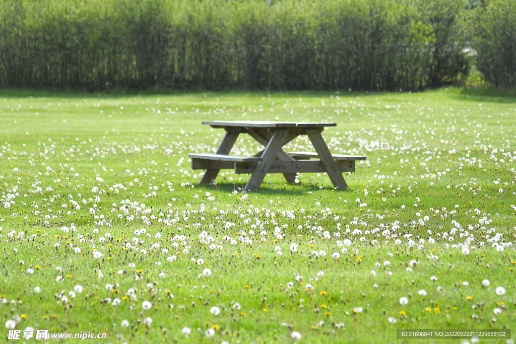 綠蔭草地 
