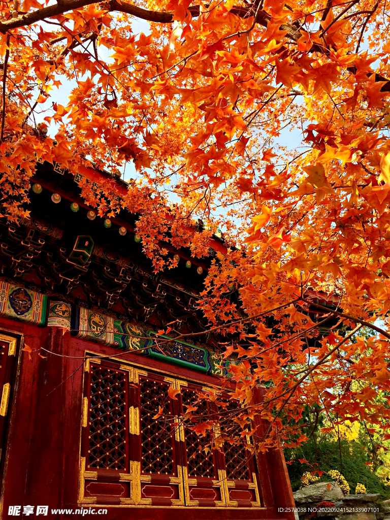 北京香山公園