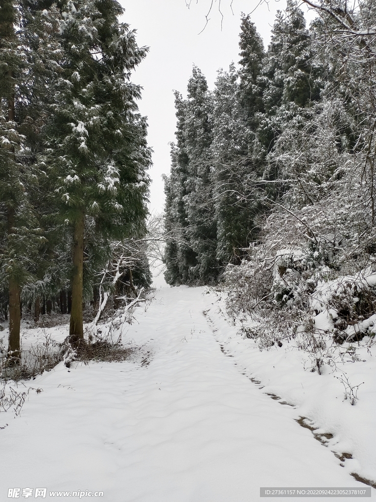 雪景1