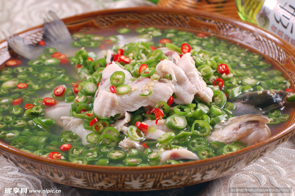 缽缽魚(yú)
