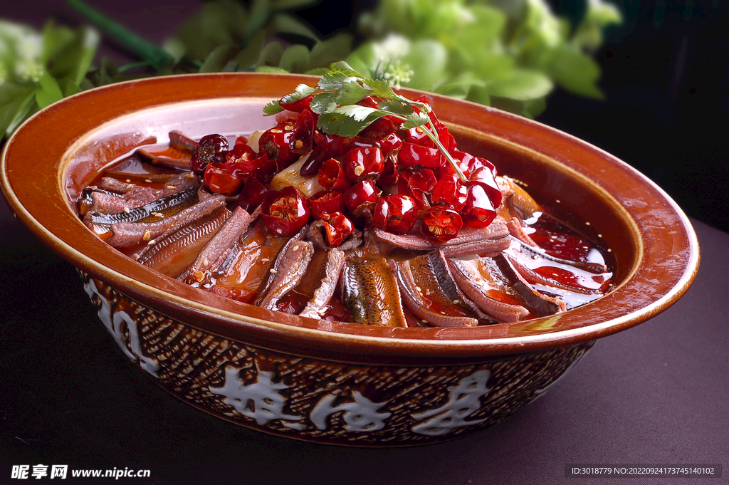 土鱔魚