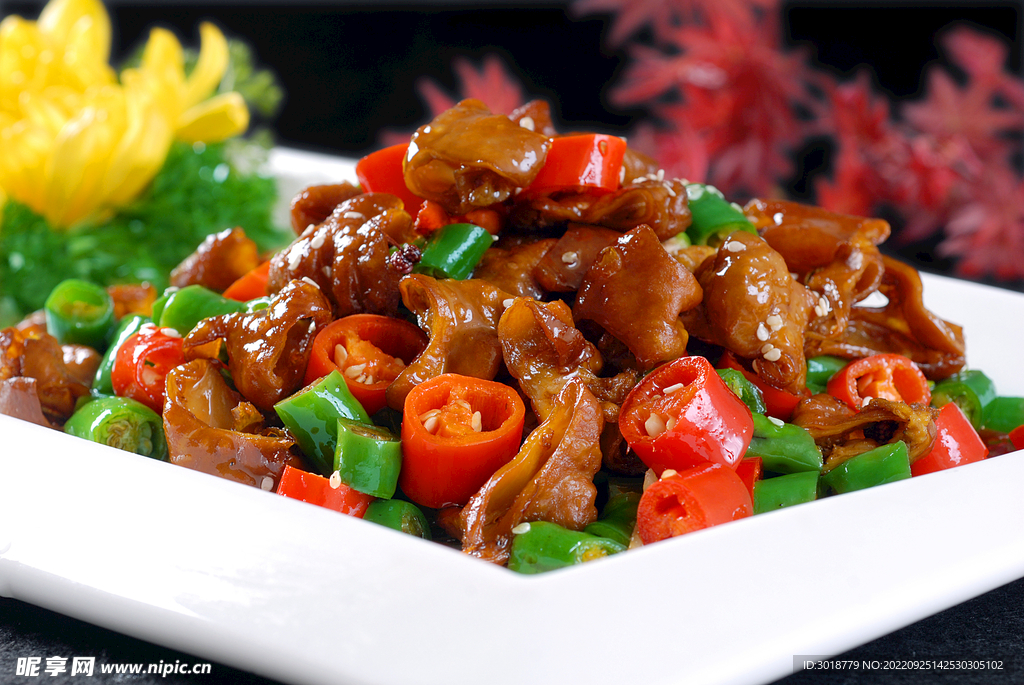 雙椒肥腸