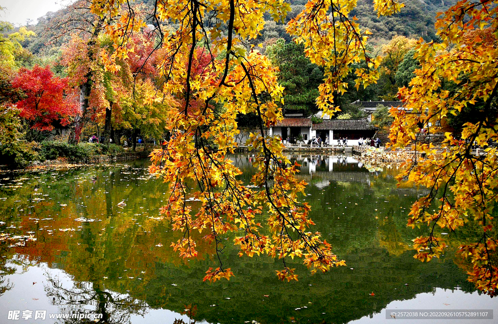 天平山秋天