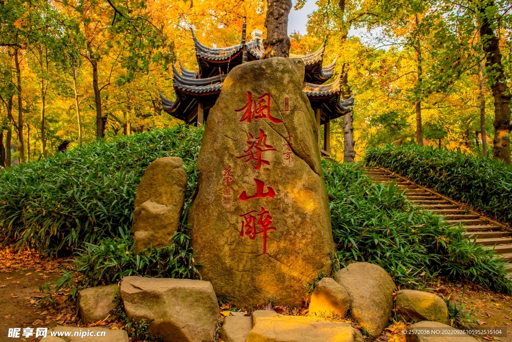 天平山秋天