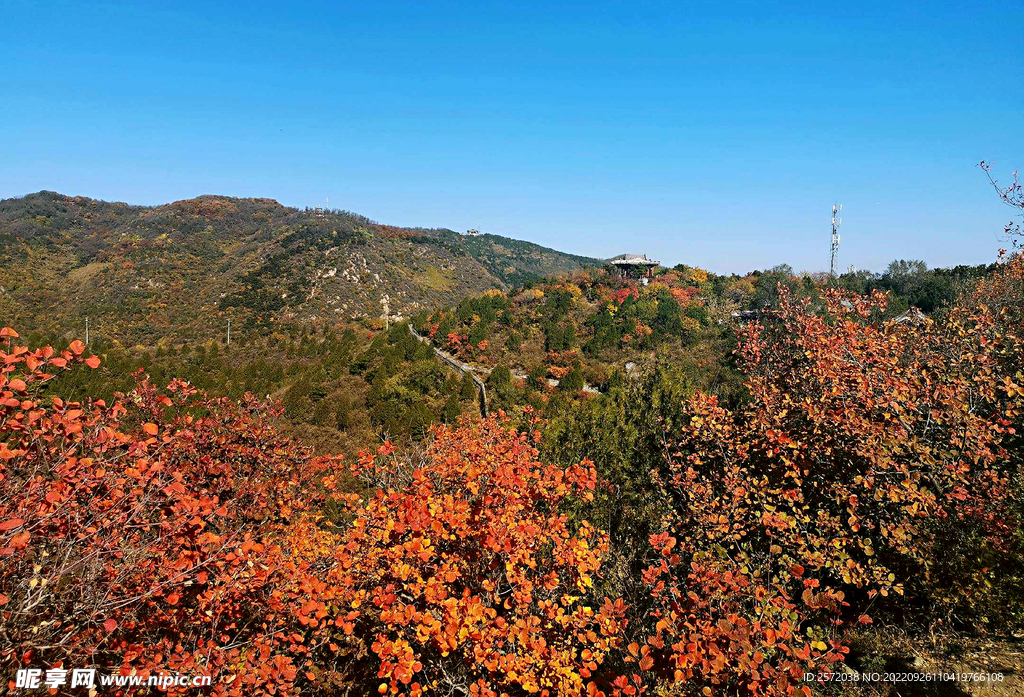 香山秋天