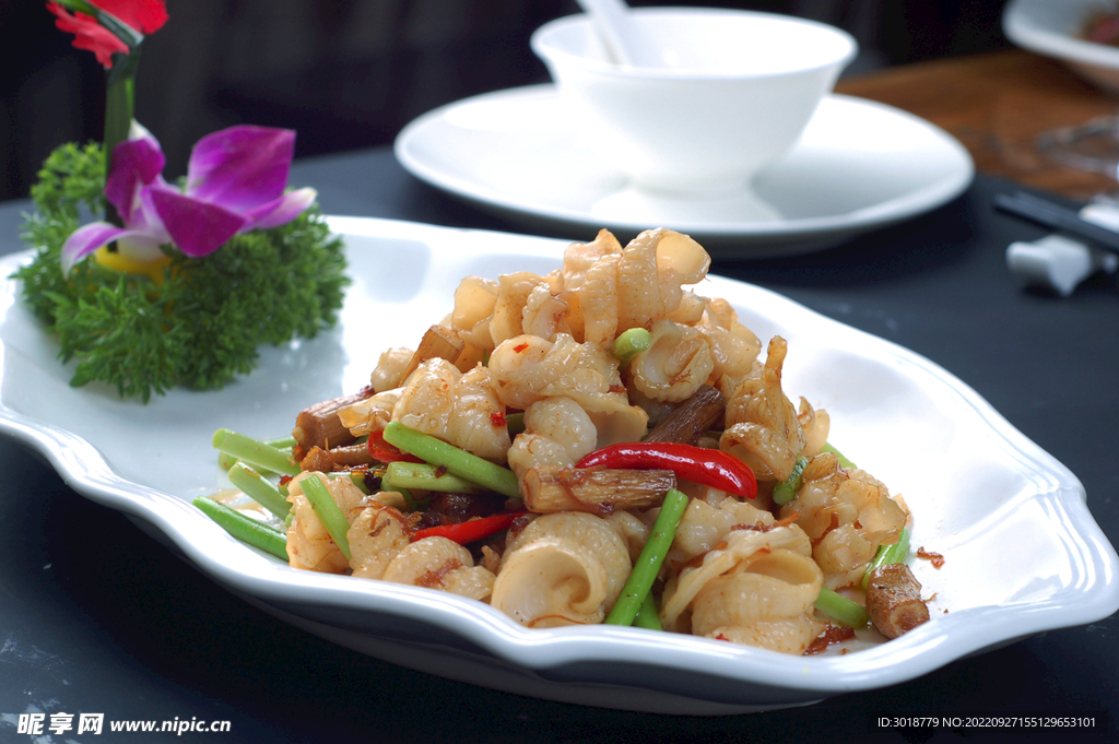 鱷魚腸