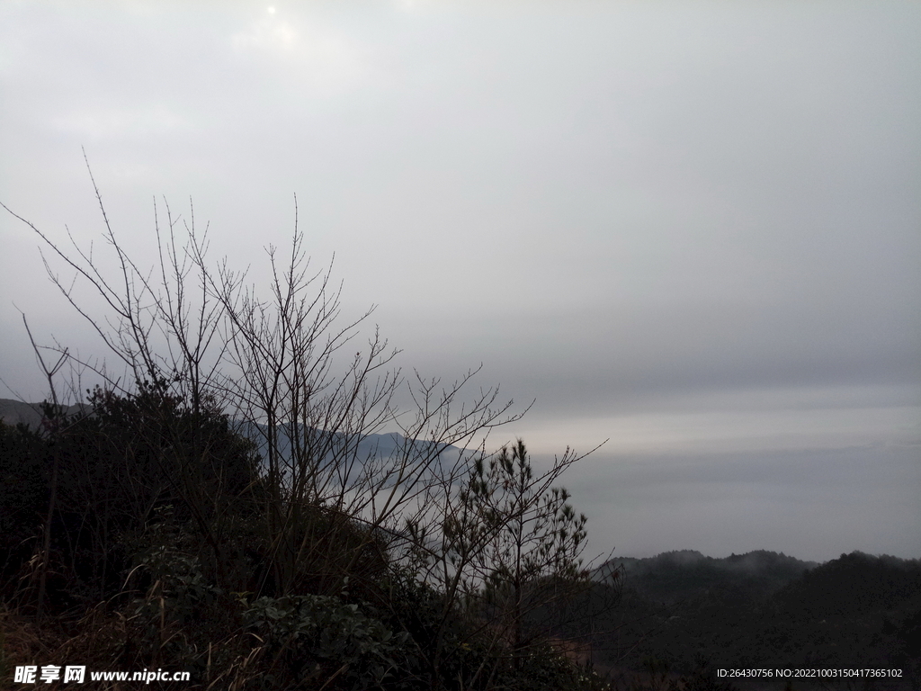 山頂云霧