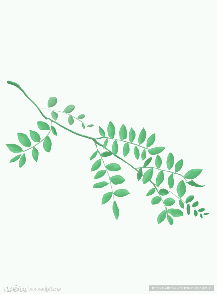 插画树枝插画植物叶子