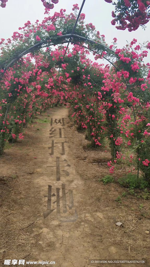 網紅打卡地