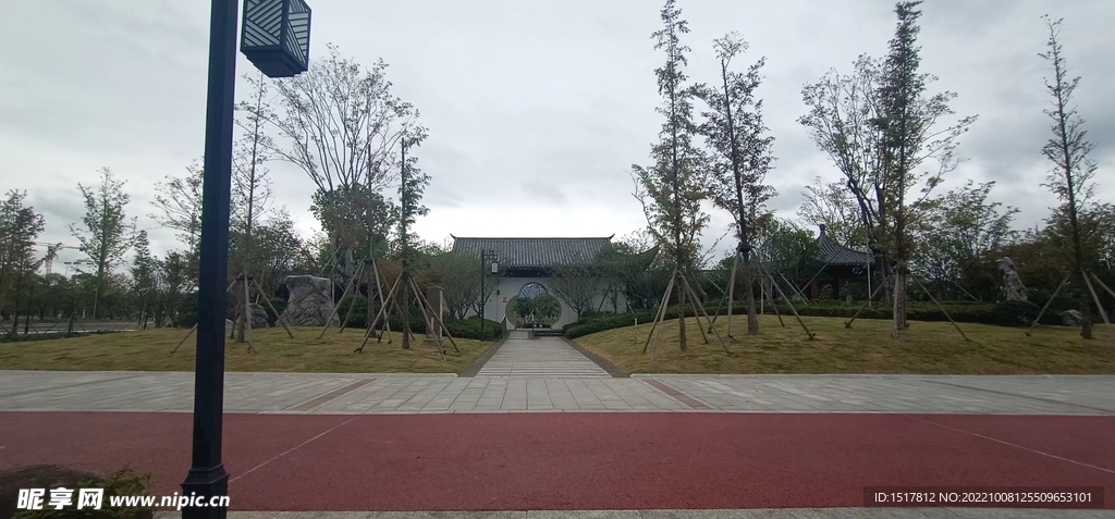 草坪