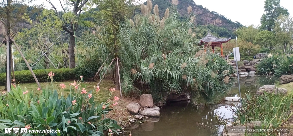 公園一角