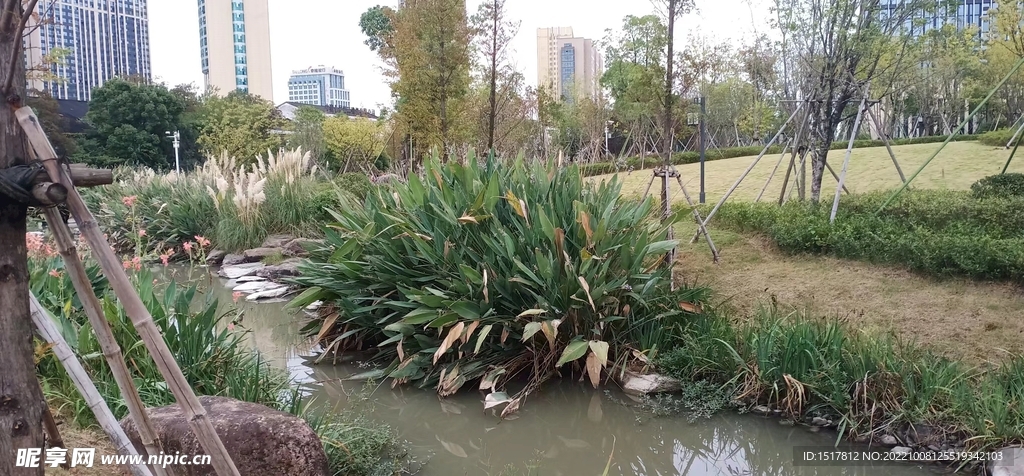 江南公園