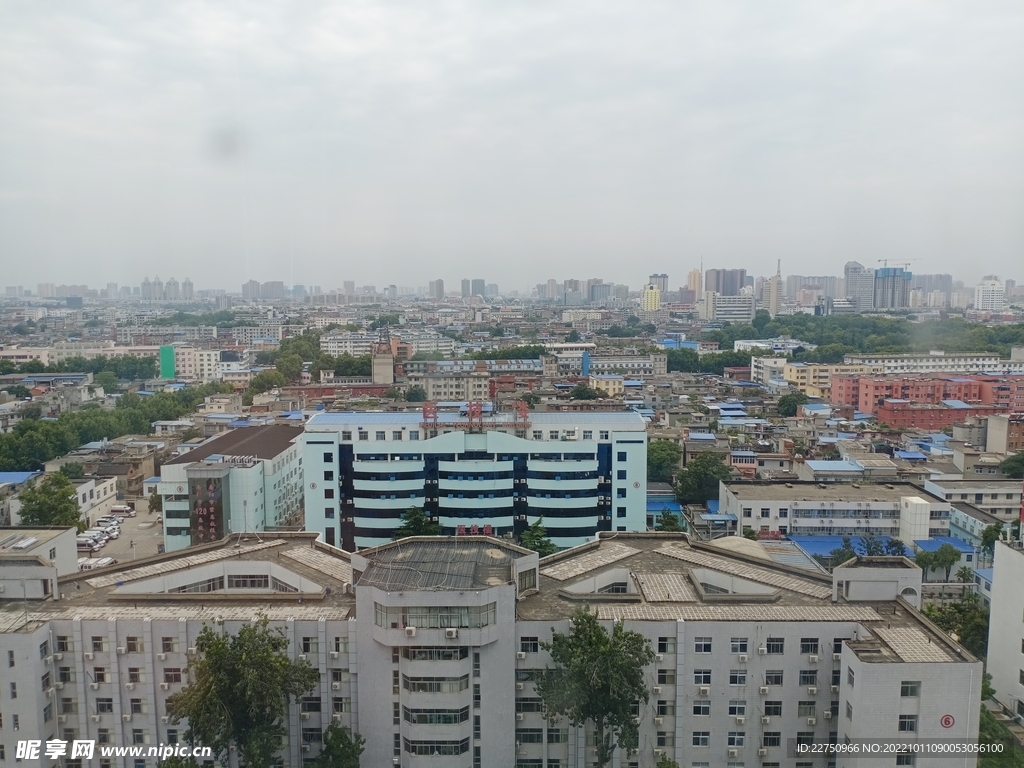 城市