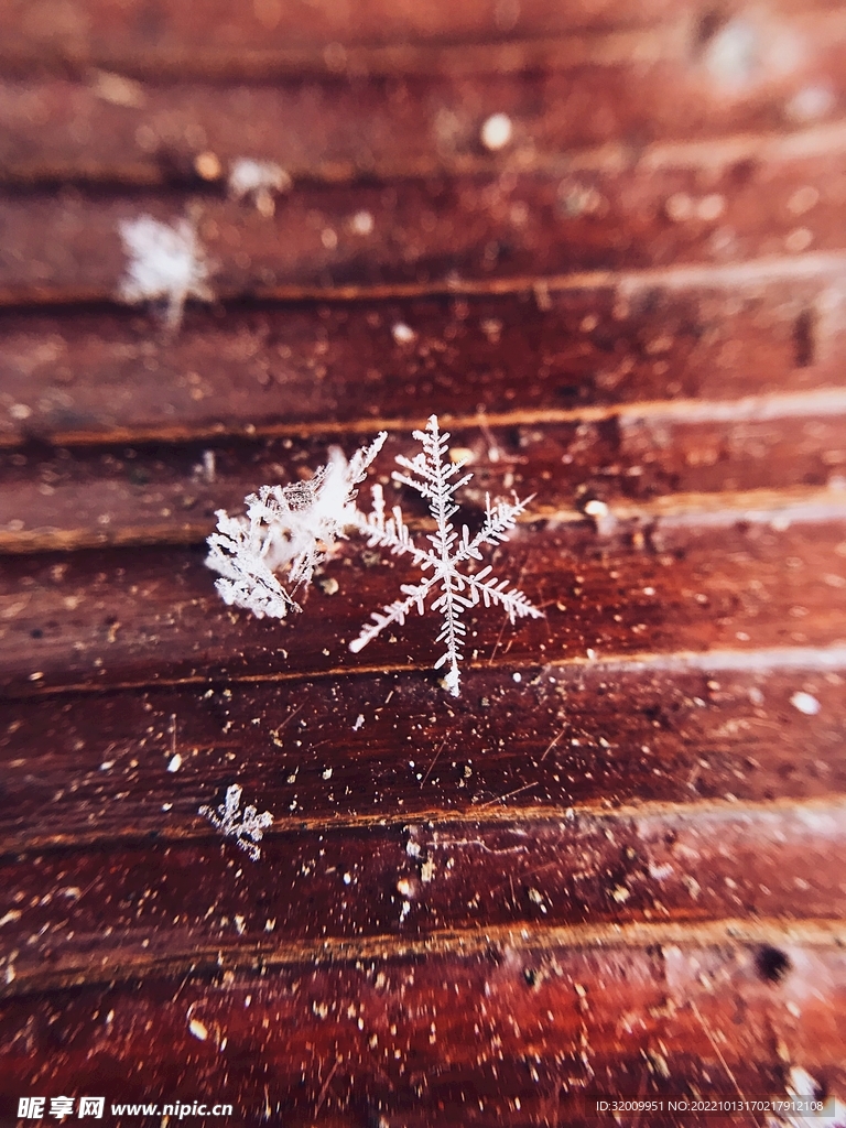 雪花 冰晶          
