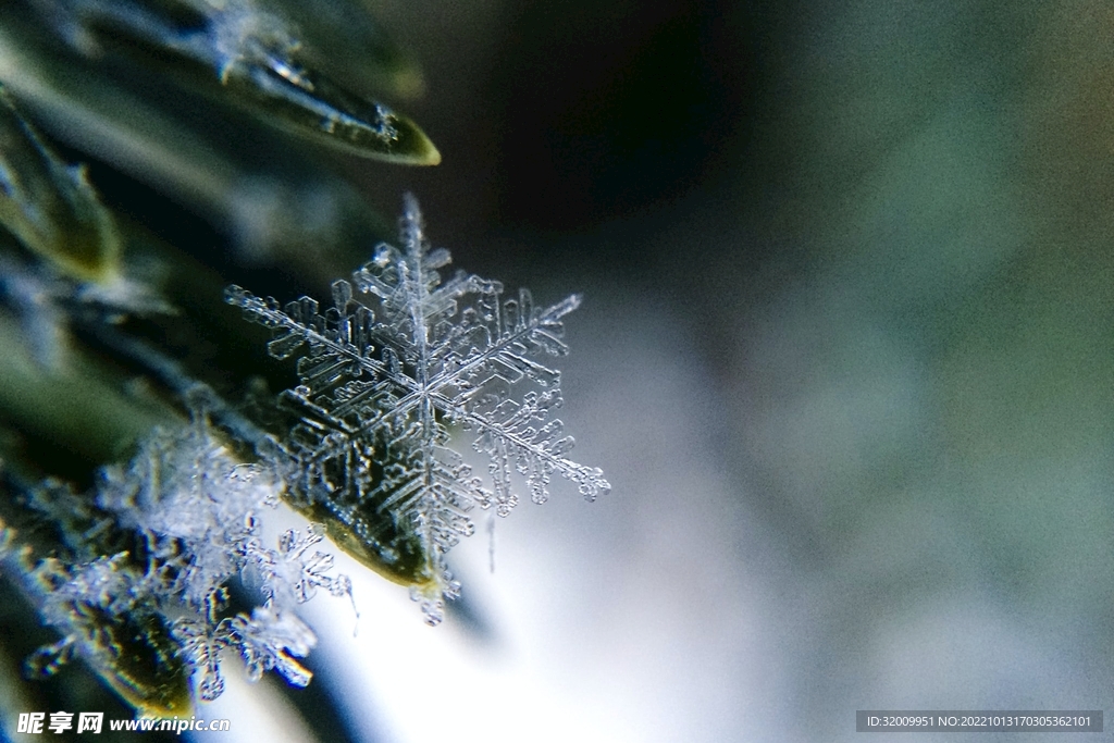 雪花 冰晶          
