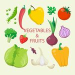 矢量水果蔬菜