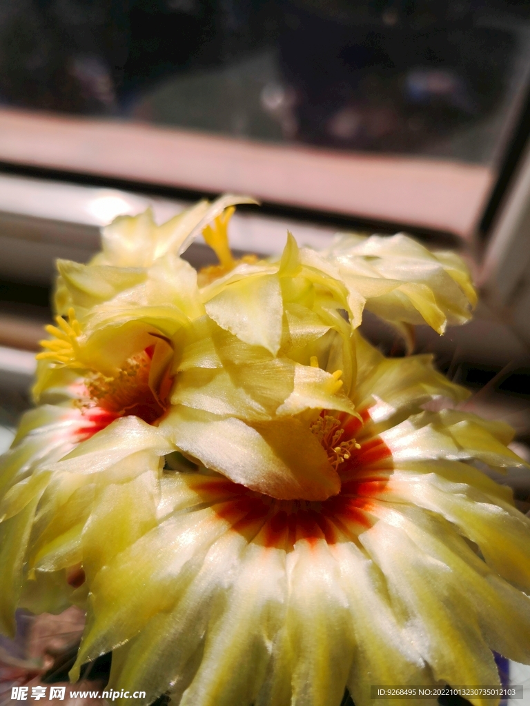 花