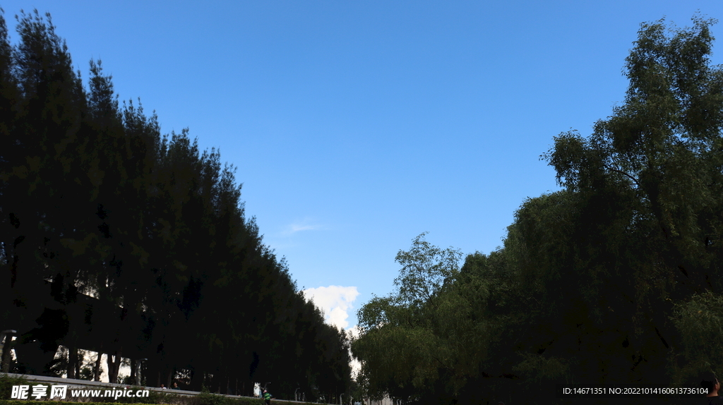 藍(lán)天 風(fēng)景