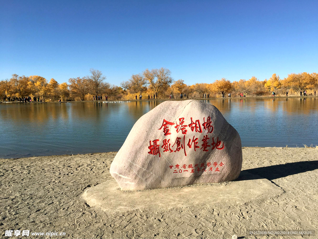 金塔胡楊林 