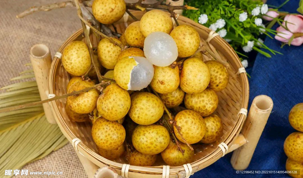 桂圓桂圓