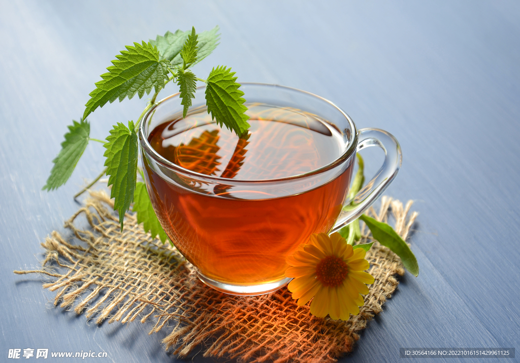 泡茶飲品