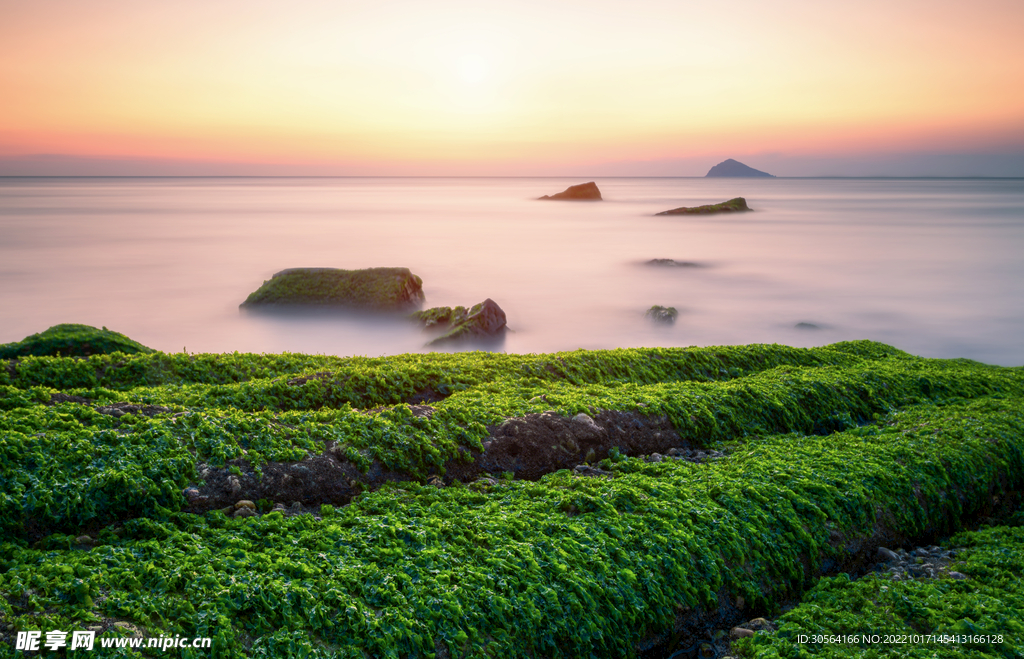 云霧海邊青苔