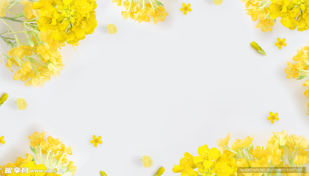 簡(jiǎn)潔花朵壁紙