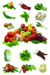 组写实水果蔬菜蔬菜堆