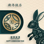 2023兔年春节海报插画