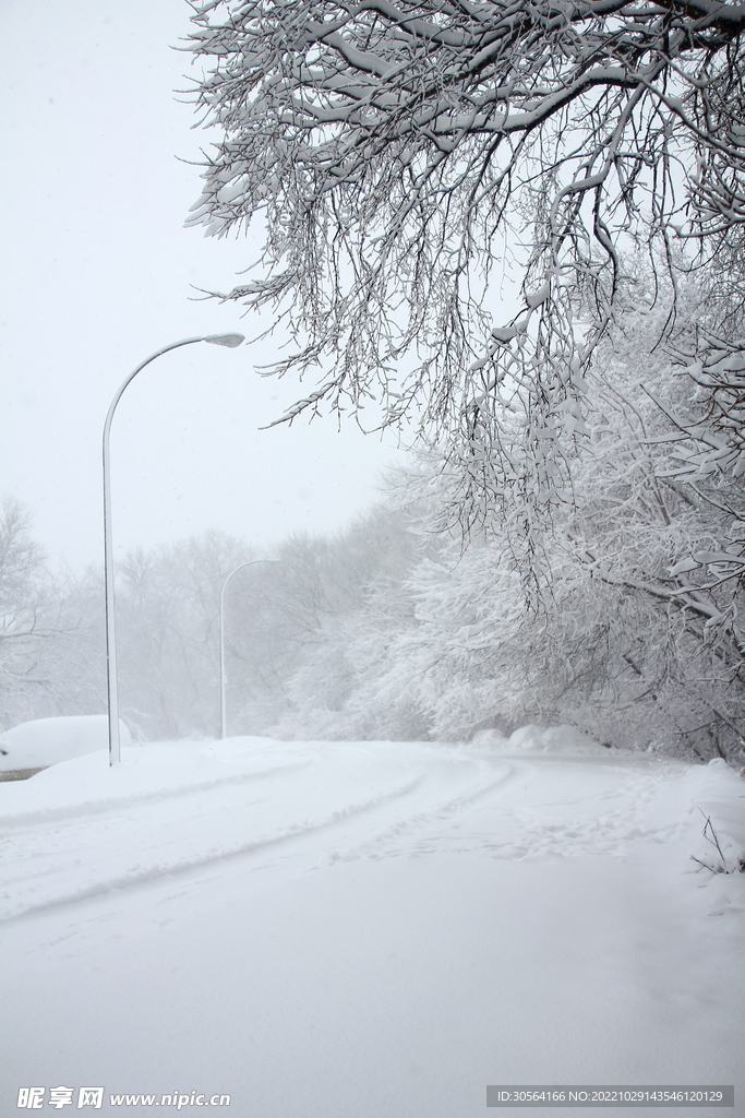冬季雪景道路