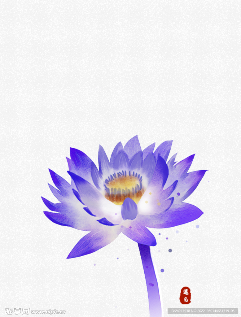 睡蓮插畫  