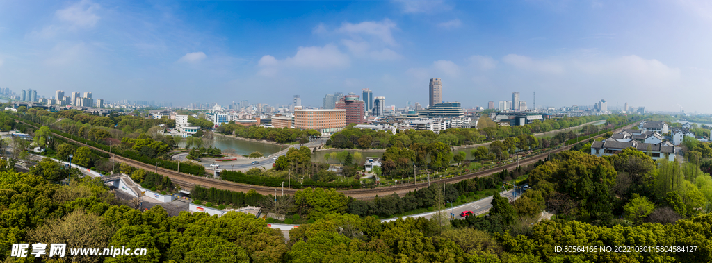 城市公園樹木