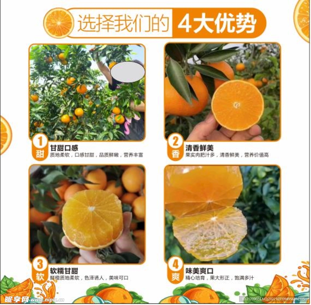 愛媛展架