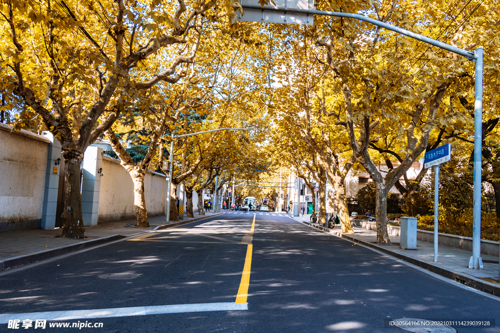 秋季城市道路