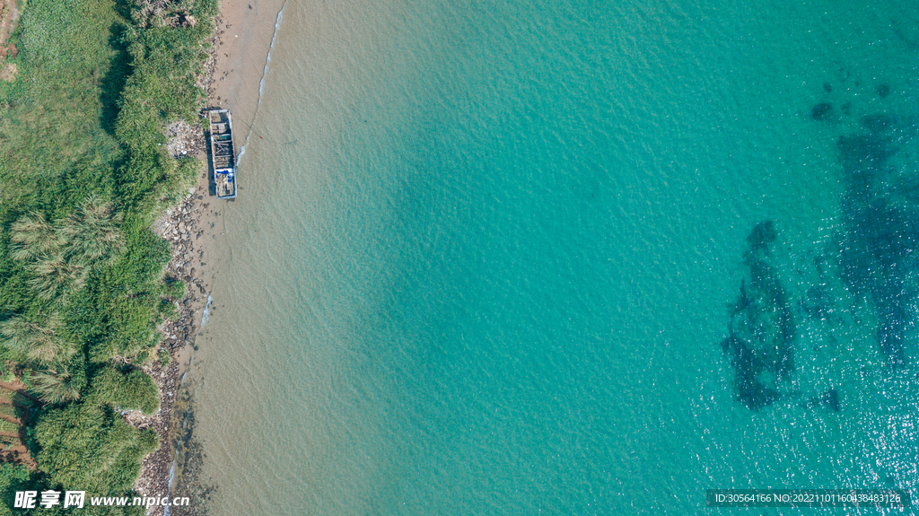 海邊森林