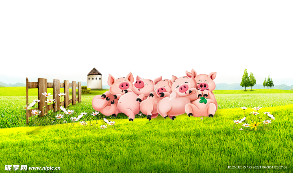 草地上的猪宝宝