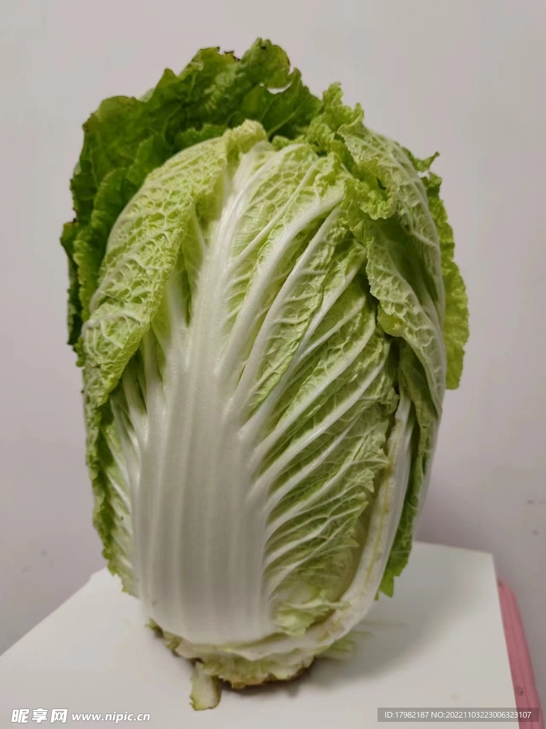白菜拍攝