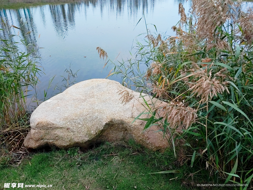 湖边大石头