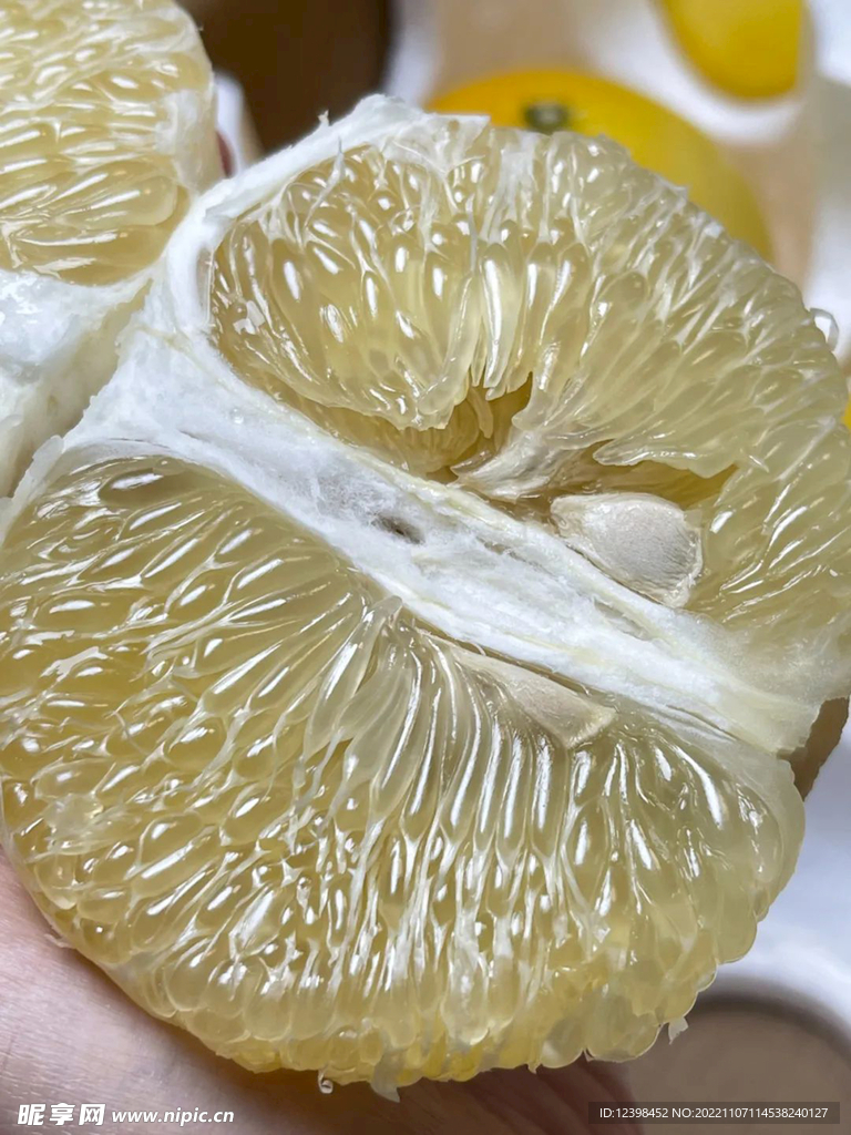葡萄柚