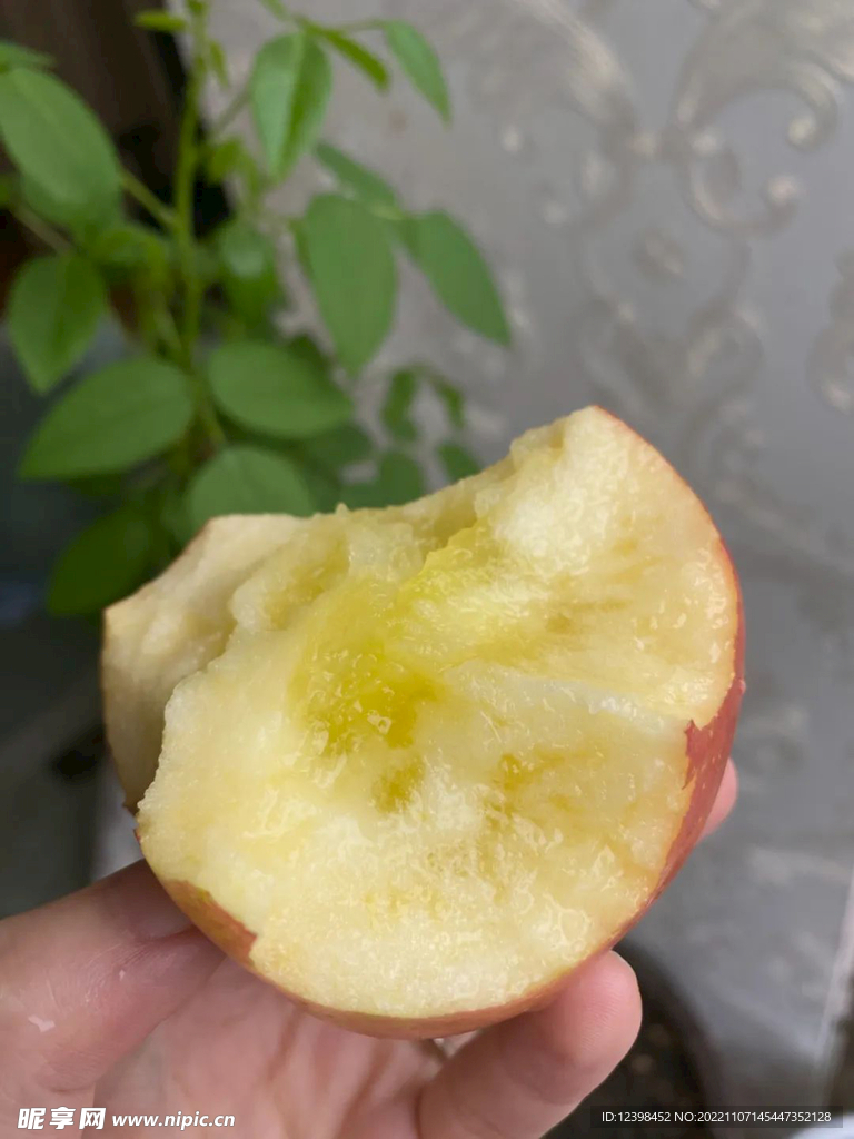 脆蘋果