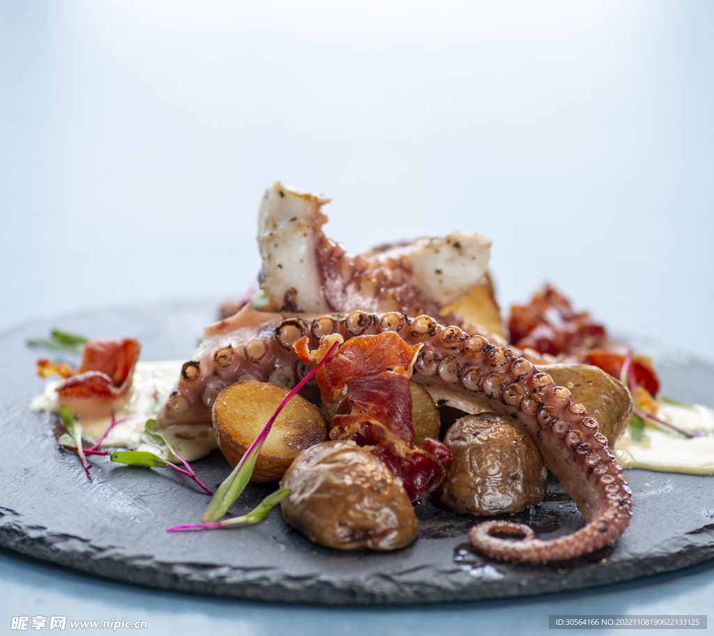 八爪魚料理
