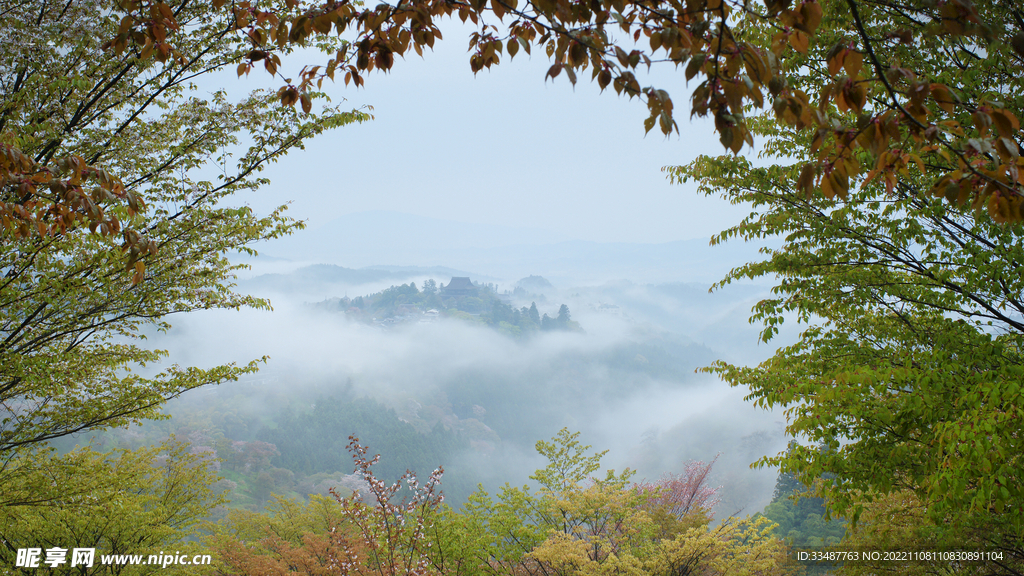 吉野   