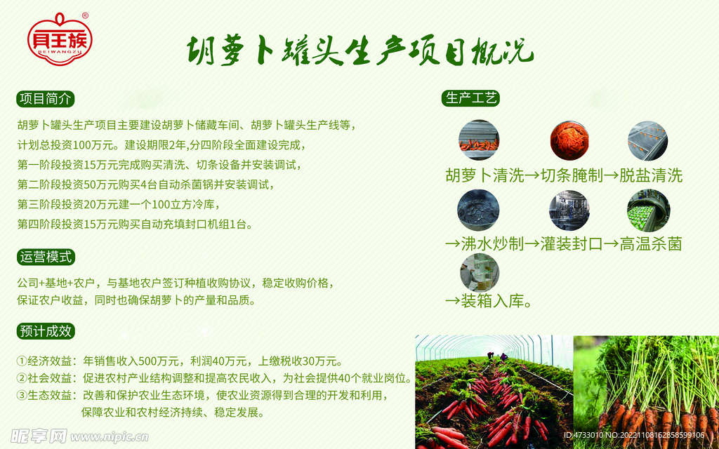 胡蘿卜罐頭生產介紹