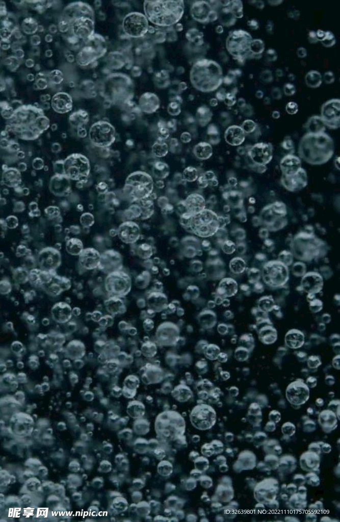 海底泡泡